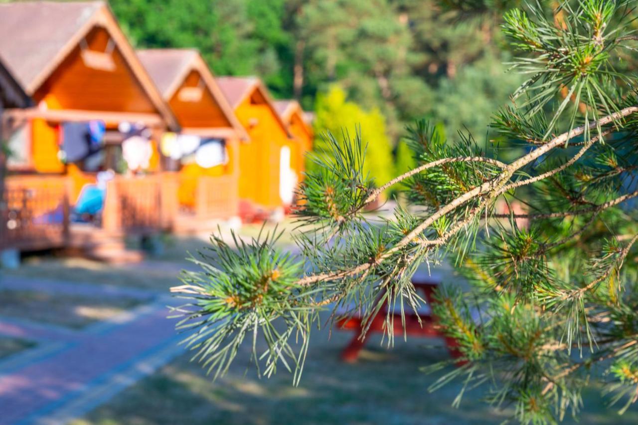 Domki Letniskowe I Pokoje Savana Nad Morzem Jarosławiec Kültér fotó